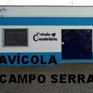 AGRO AVICOLA CANDELÁRIA